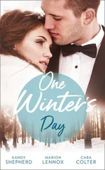 Kandy Shepherd - One Winter's Day