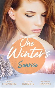 Alison Roberts One Winter's Sunrise обложка книги