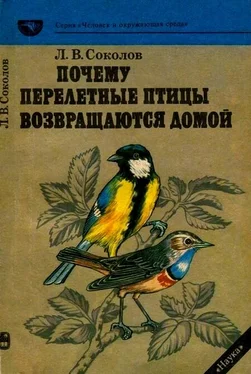 Леонид Соколов Почему перелетные птицы возвращаются домой обложка книги