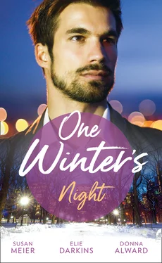 Susan Meier One Winter's Night обложка книги