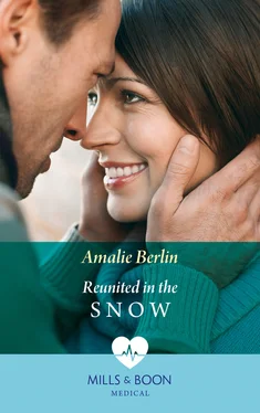 Amalie Berlin Reunited In The Snow обложка книги