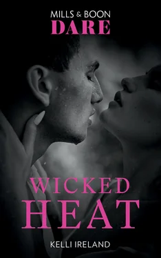 Kelli Ireland Wicked Heat обложка книги