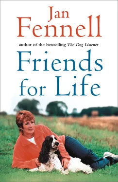 Jan Fennell Friends for Life обложка книги