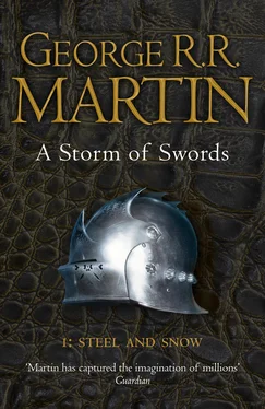 George R.R. Martin A Storm of Swords: Part 1 Steel and Snow обложка книги