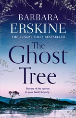 Barbara Erskine - The Ghost Tree