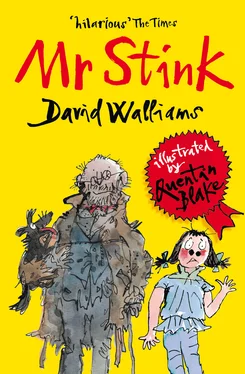 David Walliams Mr Stink обложка книги