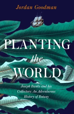 Jordan Goodman Planting the World обложка книги