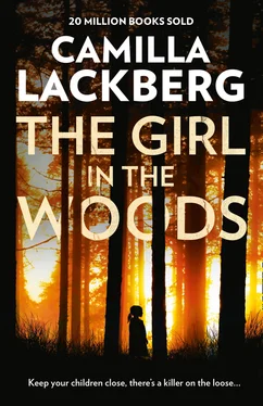 Camilla Lackberg The Girl in the Woods обложка книги