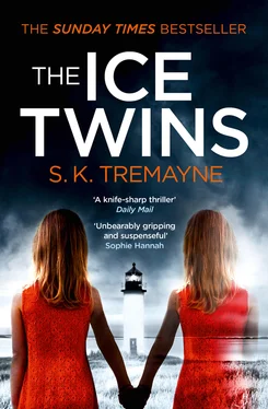 S. K. Tremayne The Ice Twins обложка книги