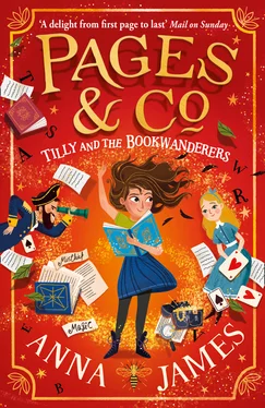 Anna James Pages & Co.: Tilly and the Bookwanderers обложка книги