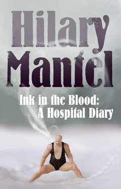 Hilary Mantel Ink in the Blood обложка книги