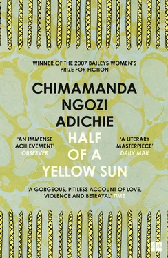 CHIMAMANDA NGOZI ADICHIE Half of a Yellow Sun обложка книги