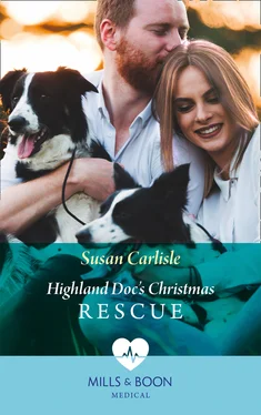 Susan Carlisle Highland Doc's Christmas Rescue обложка книги
