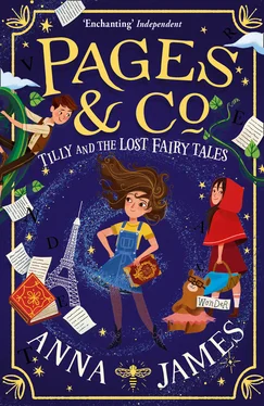 Anna James Pages & Co.: Tilly and the Lost Fairy Tales обложка книги