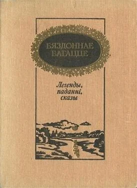 Антон Гурскі Бяздоннае багацце: легенды, паданні, сказы обложка книги