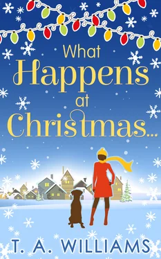T A Williams What Happens At Christmas... обложка книги