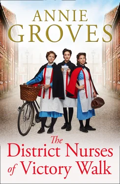 Annie Groves The District Nurses of Victory Walk обложка книги