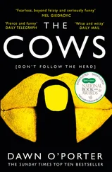 Dawn O’Porter - The Cows