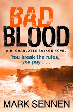 Mark Sennen BAD BLOOD: A DI Charlotte Savage Novel обложка книги