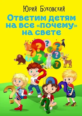 Юрий Буковский Ответим детям на все «почему» на свете. Сказки обложка книги