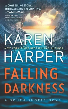 Karen Harper Falling Darkness обложка книги