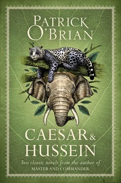 Patrick O’Brian Caesar & Hussein обложка книги