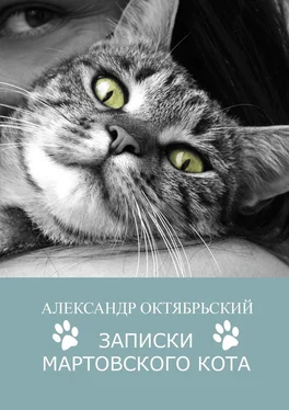 Александр Октябрьский Записки Мартовского кота обложка книги