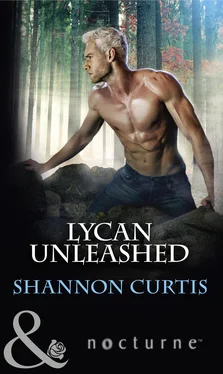 Shannon Curtis Lycan Unleashed обложка книги