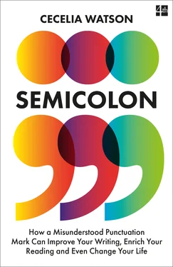 Cecelia Watson Semicolon обложка книги