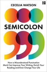 Cecelia Watson - Semicolon
