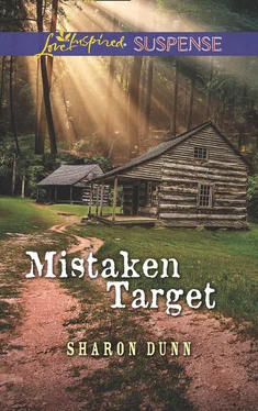 Sharon Dunn Mistaken Target обложка книги