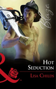 Lisa Childs Hot Seduction обложка книги