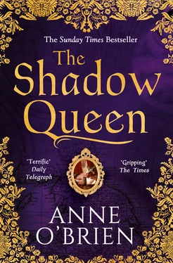 Anne O'Brien The Shadow Queen обложка книги