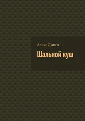 Алекс Динго - Шальной куш