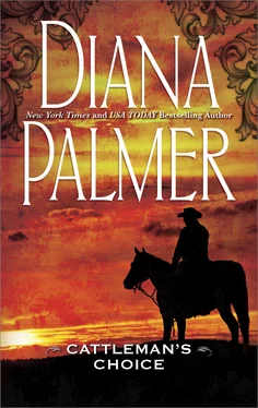 Diana Palmer Cattleman's Choice обложка книги