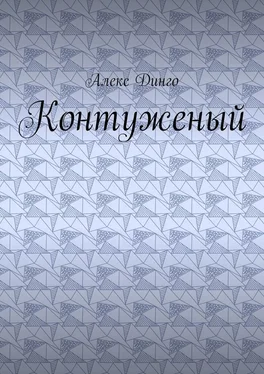 Алекс Динго Контуженый обложка книги