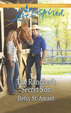 Betsy St. Amant The Rancher's Secret Son обложка книги