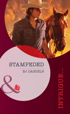 B.J. Daniels Stampeded обложка книги