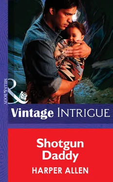 Harper Allen Shotgun Daddy обложка книги