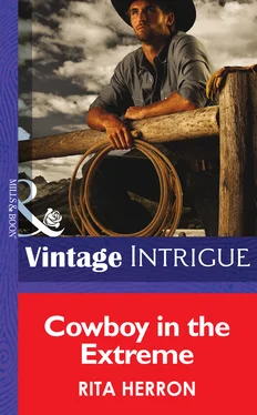 Rita Herron Cowboy in the Extreme обложка книги