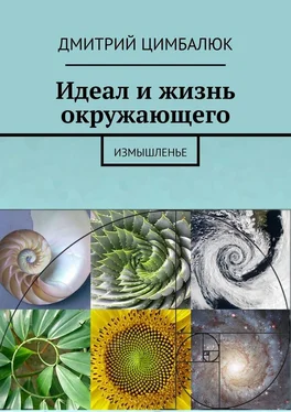 Дмитрий Цимбалюк Идеал и жизнь окружающего. Измышленье обложка книги