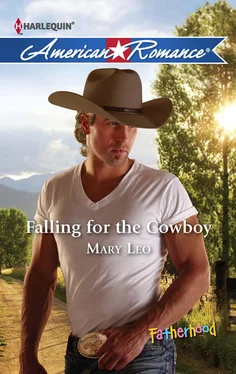 Mary Leo Falling for the Cowboy обложка книги