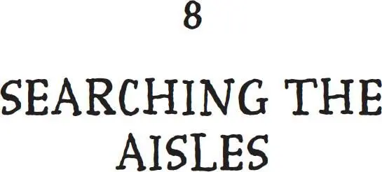 he Repository in the old Sanctuary had been much better Its ceilings were - фото 22