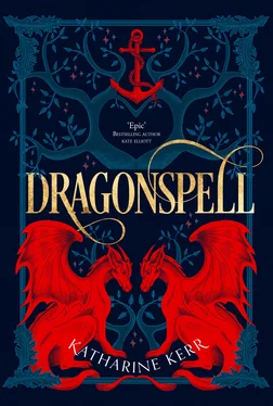 Katharine Kerr Dragonspell обложка книги