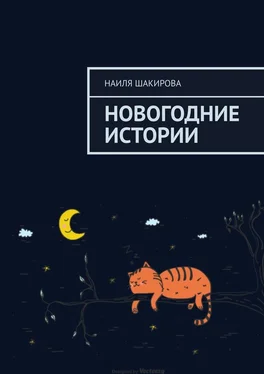 Наиля Шакирова Новогодние истории обложка книги