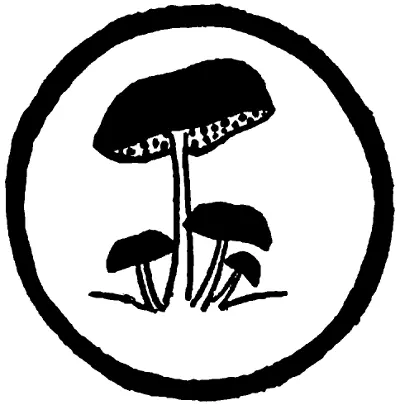 Глава вторая Флёр Приютил меня в моём сиротстве один дальний родственник мэтр - фото 21