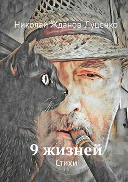 Николай Жданов-Луценко 9 жизней. Стихи обложка книги