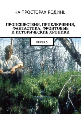 АНАТОЛИЙ МУЗИС Происшествия, приключения, фантастика, фронтовые и исторические хроники. Книга 5 обложка книги