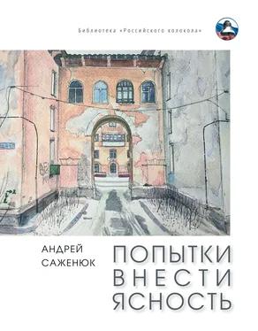 Андрей Саженюк Попытки внести ясность обложка книги