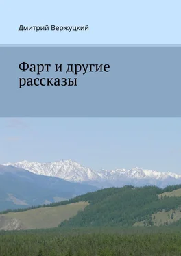 Дмитрий Вержуцкий Фарт и другие рассказы обложка книги